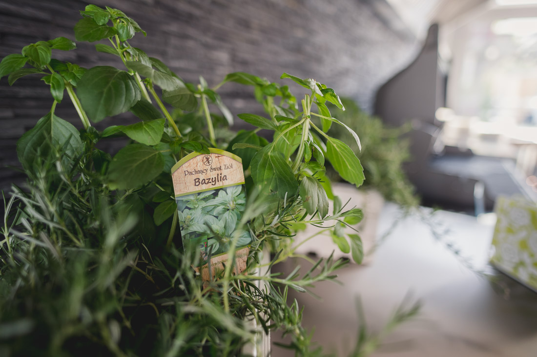 5 Akademia Grillowania Webera w Pro-Wellness Park